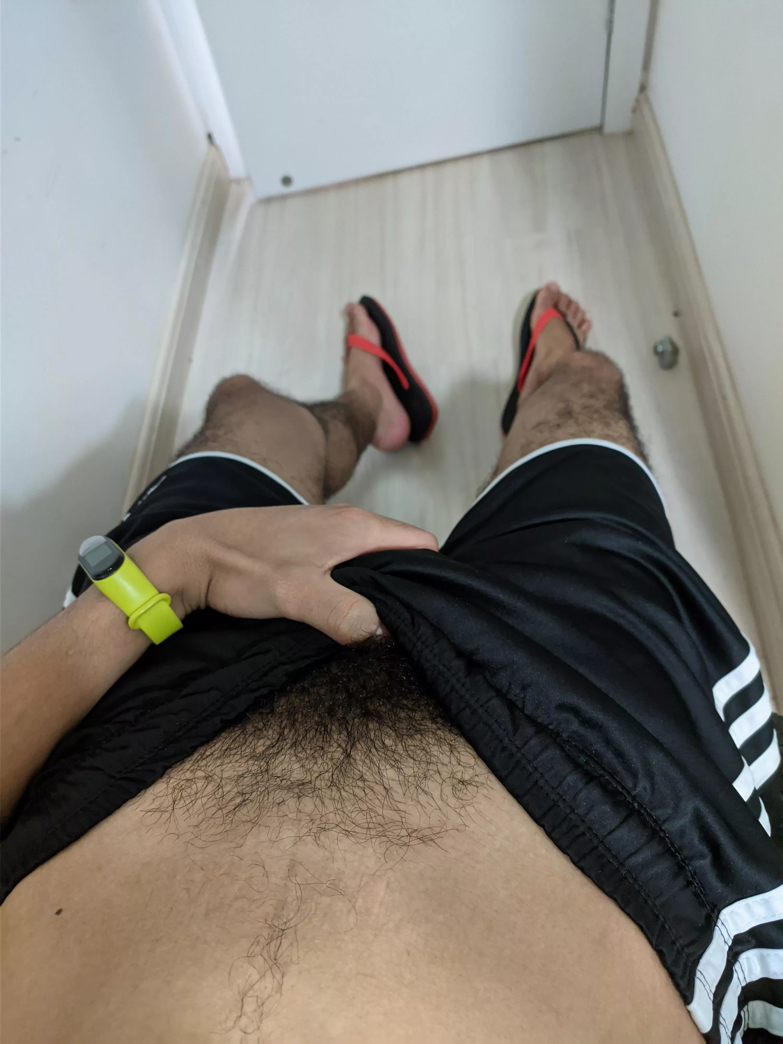 🌿Happy New Year🌿