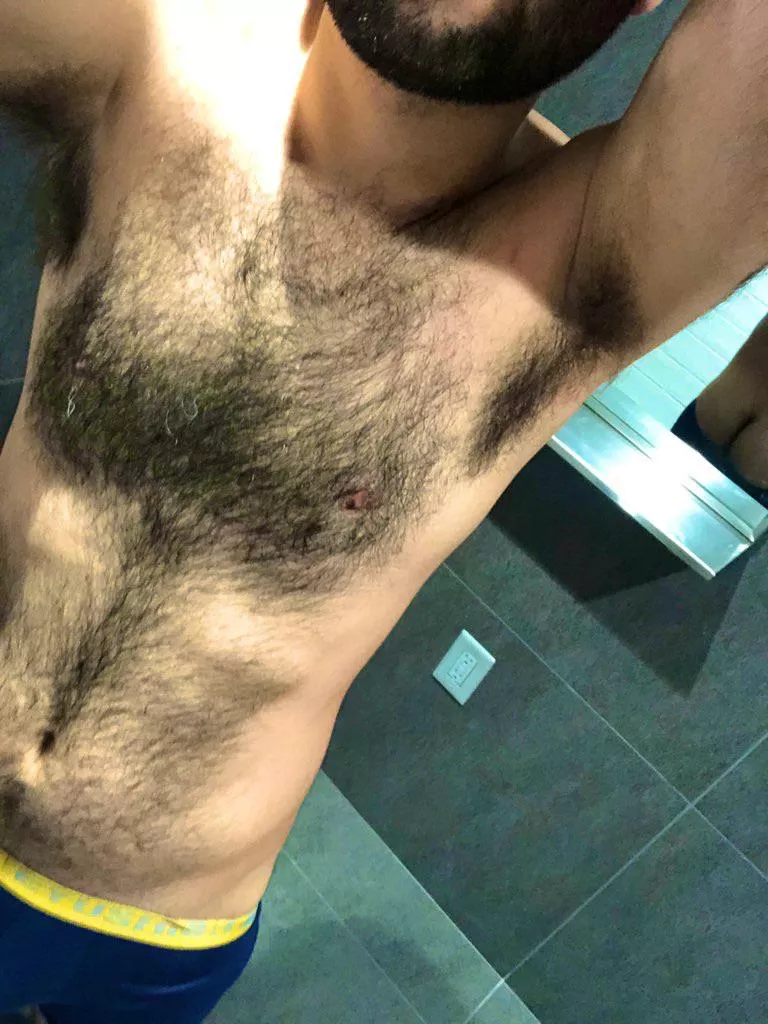 Happy new year, send furry chests and cake Happy new year, send furry chests and cake