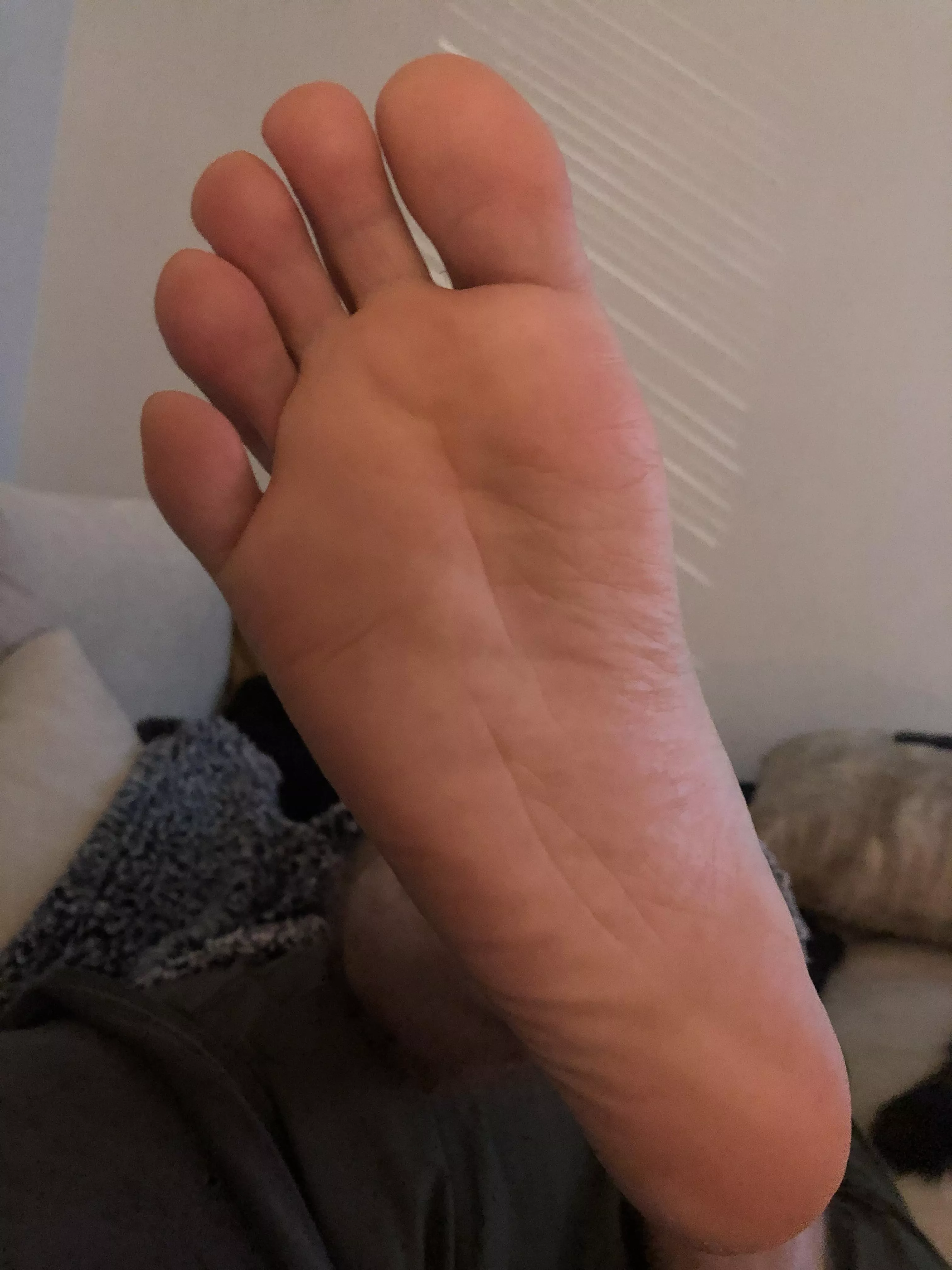 Happy New Years. What do you think?