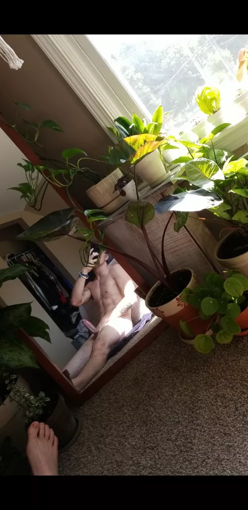 Happy Saturday, from me n my plantsπ