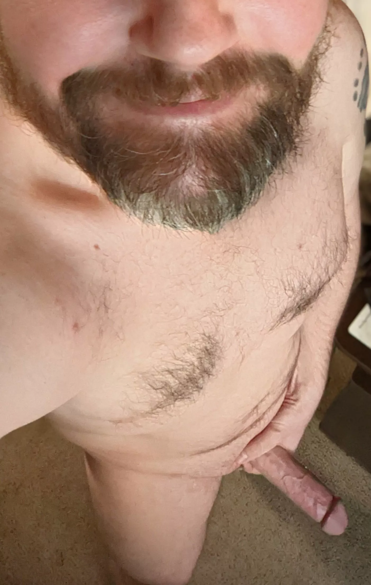 Happy Tuesday, wanna come over for tacos? [42]