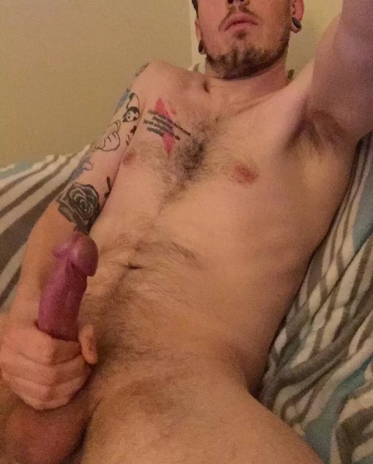 Hard dick and soft blankets Hard dick and soft blankets