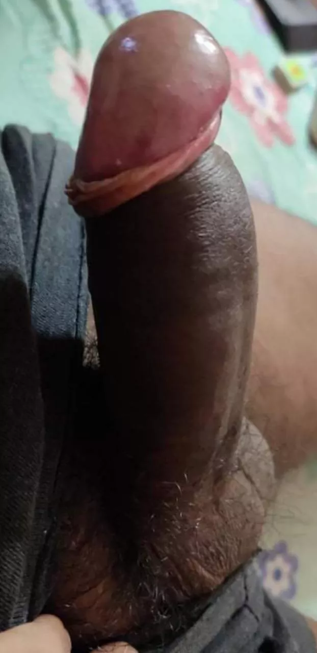 Hard Dick..... Hard Dick.....