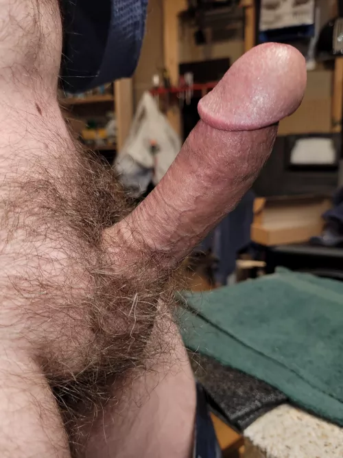 Hard in the shop - 50/Str8