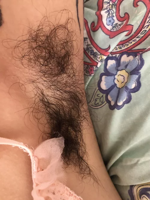 hard not to love these beauties🥺💙