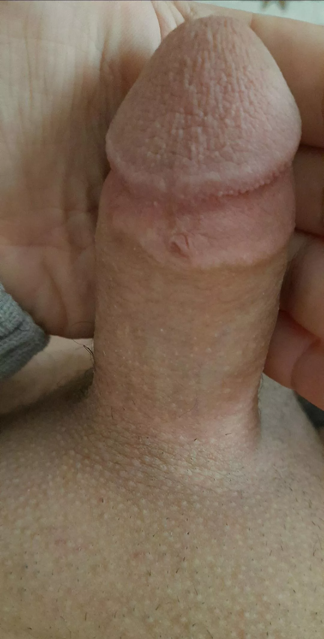 hard tiny dick (22)
