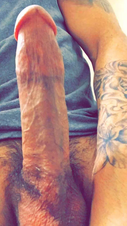 Hardest Morning wood of my life ๐