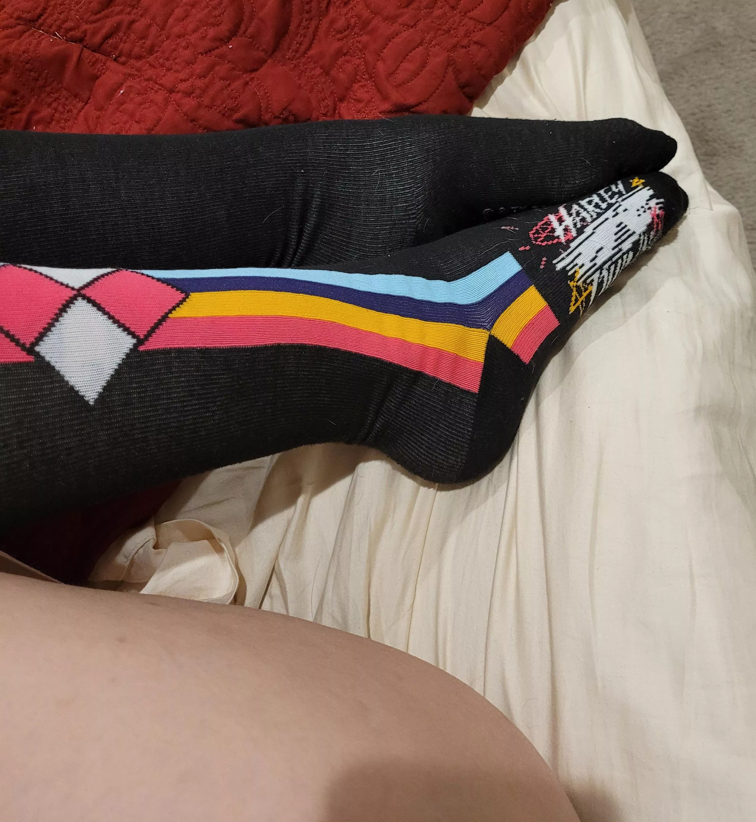 Harley all day eryday