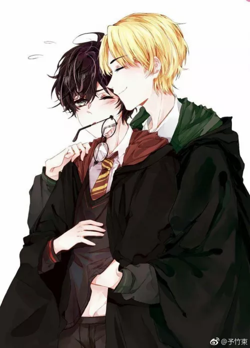 Harry and Draco lol [Harry Potter]