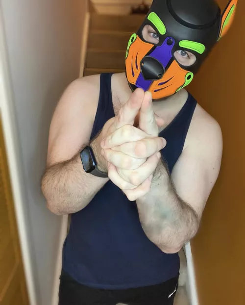 Have a great day all you beautiful pups 💜💚🧡