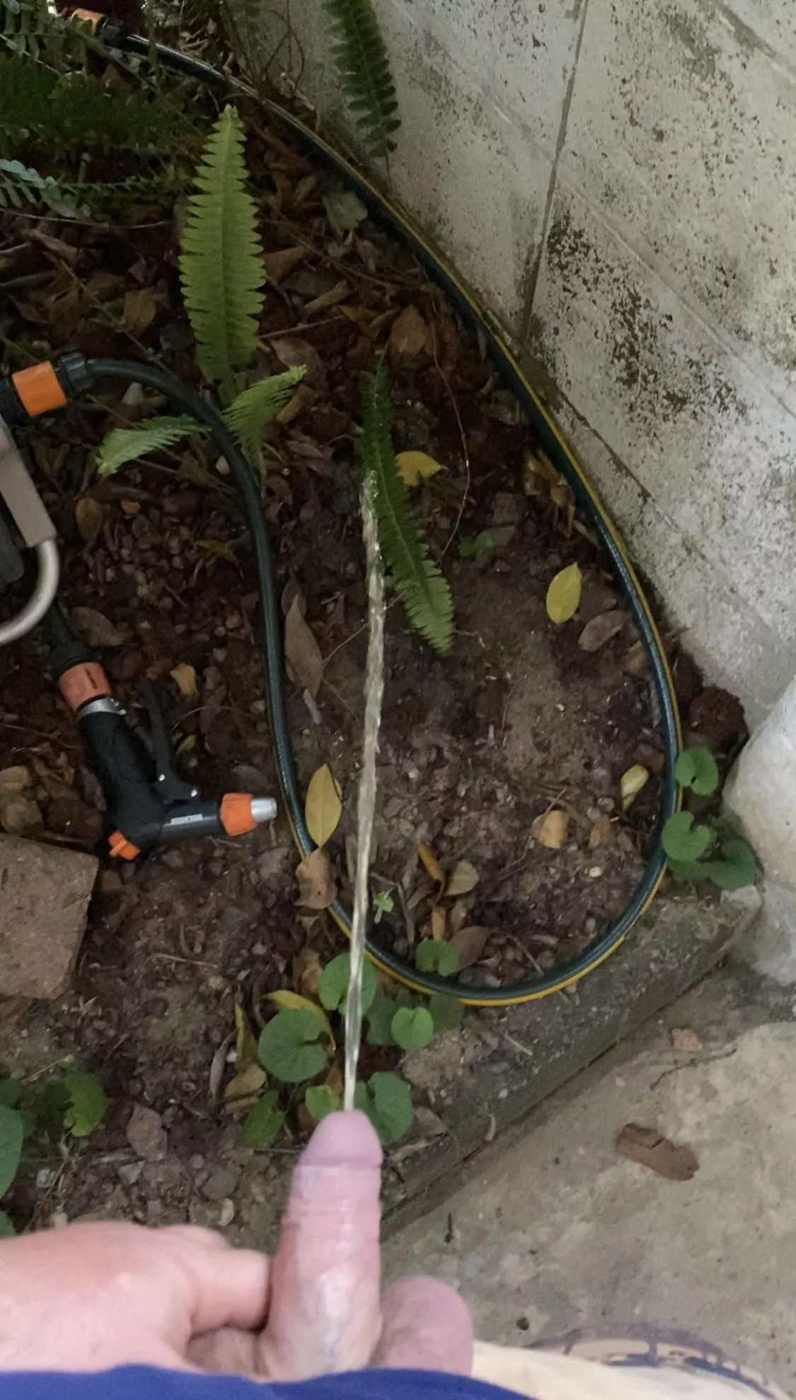 Have to water the garden after all this hot weather