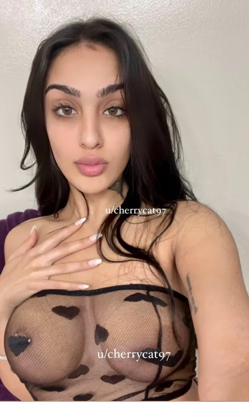 Have you ever fucked a South Asian girl?
