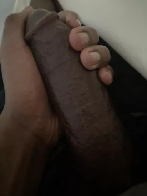 haven’t posted here in a minute