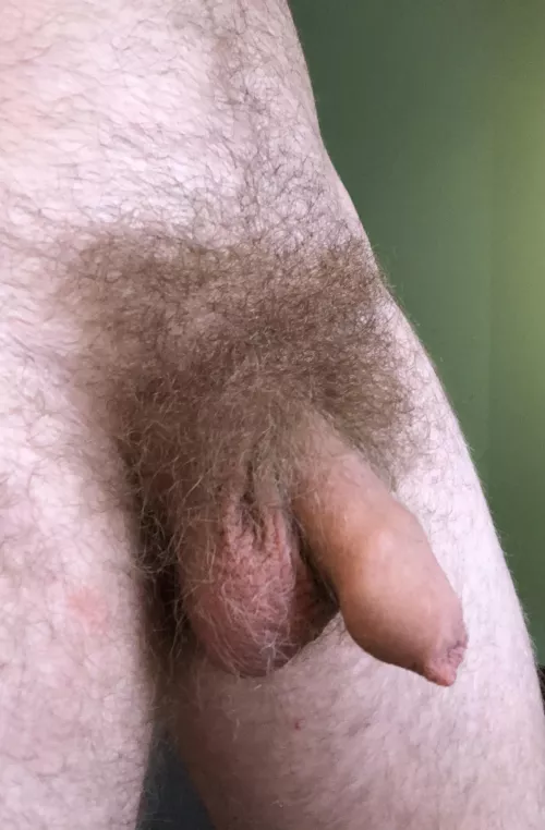 Haven’t shaved in three months