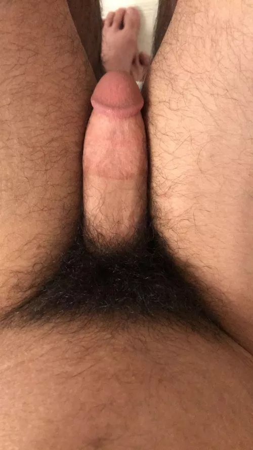 Haven’t shaved in years