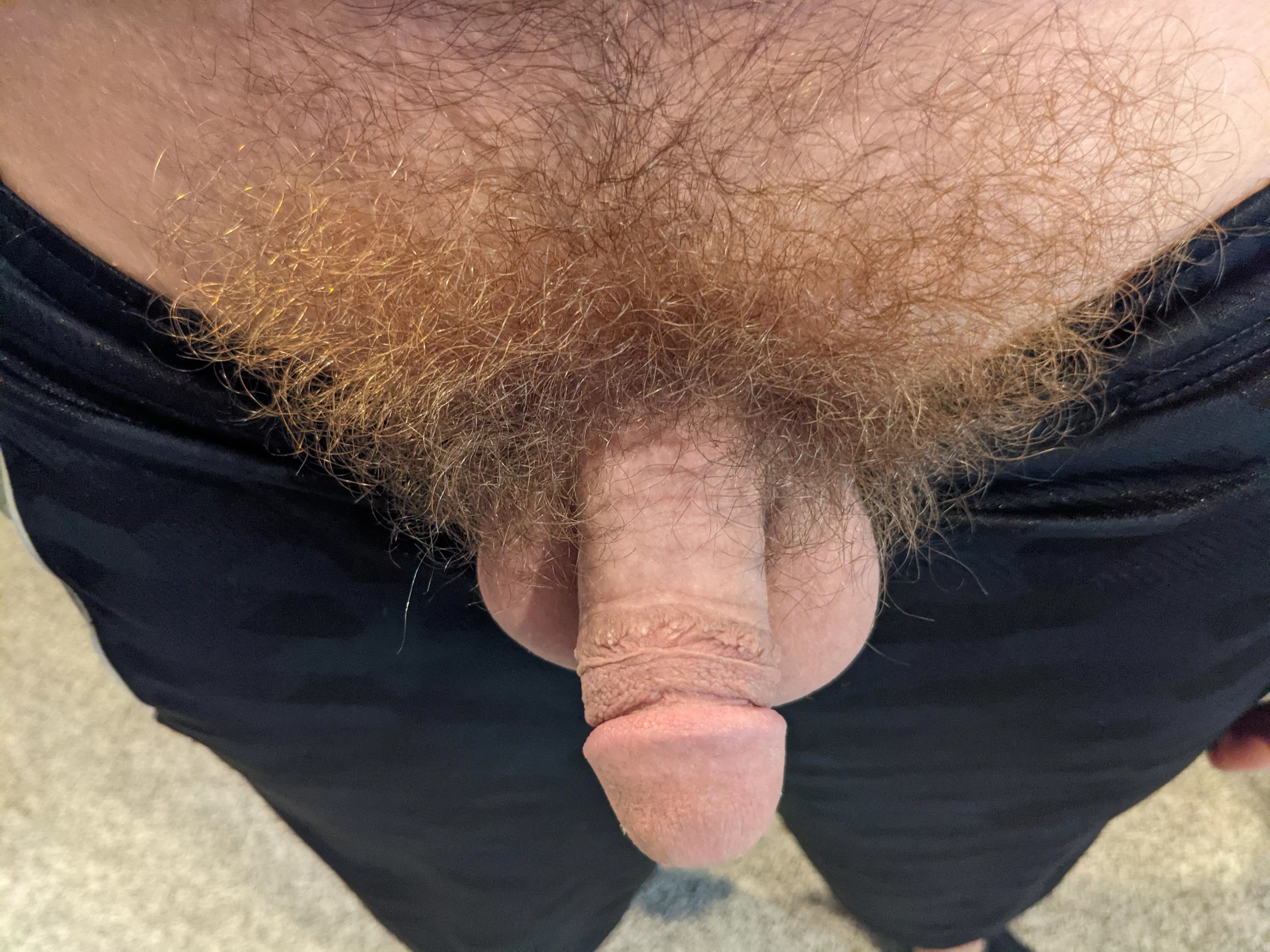 Haven't trimmed since the pandemic started. Haven't trimmed since the pandemic started.