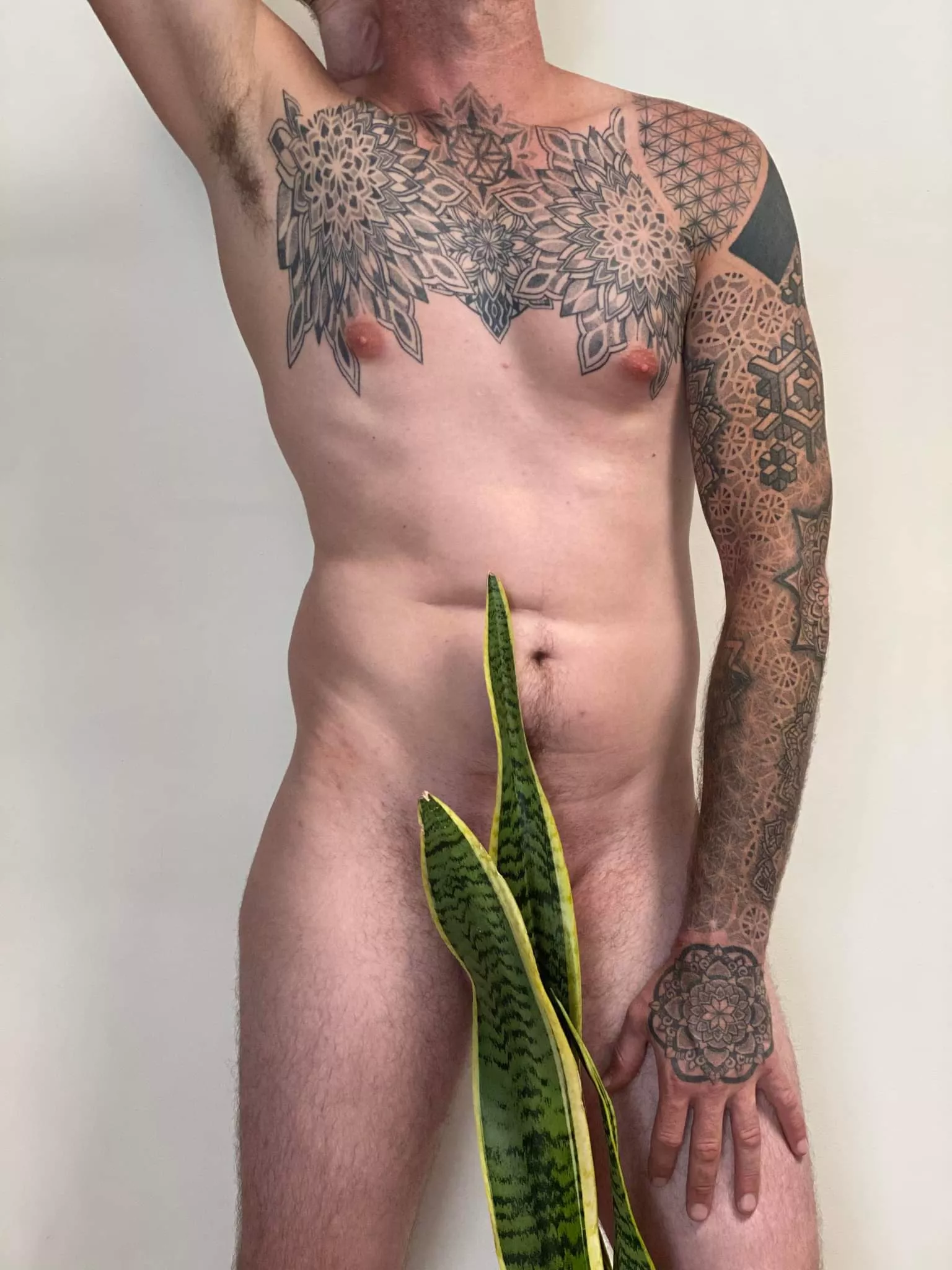 Having a bit of a play around with my snake plant if you know what I mean...