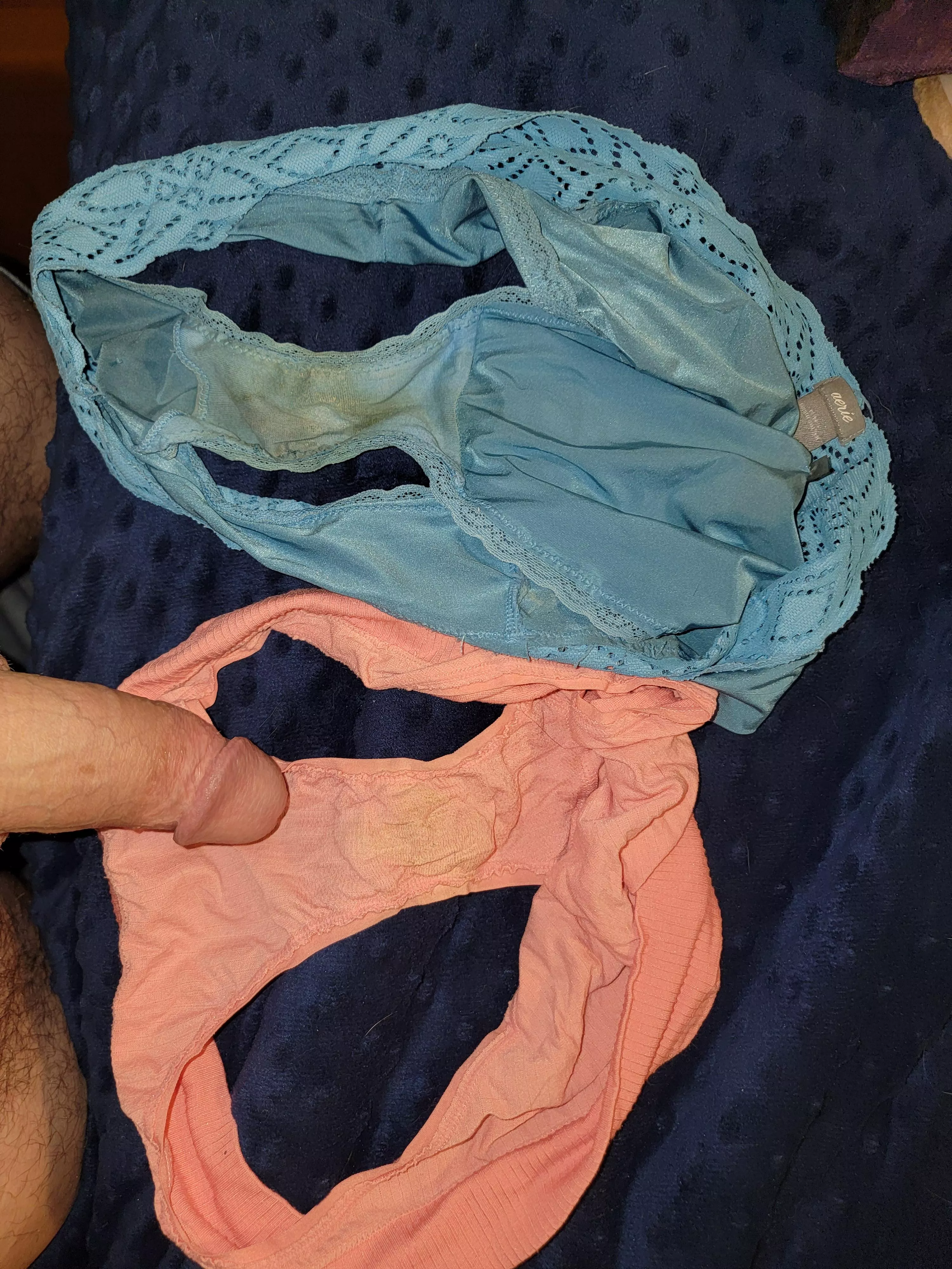 Having fun with wifes smelly panties