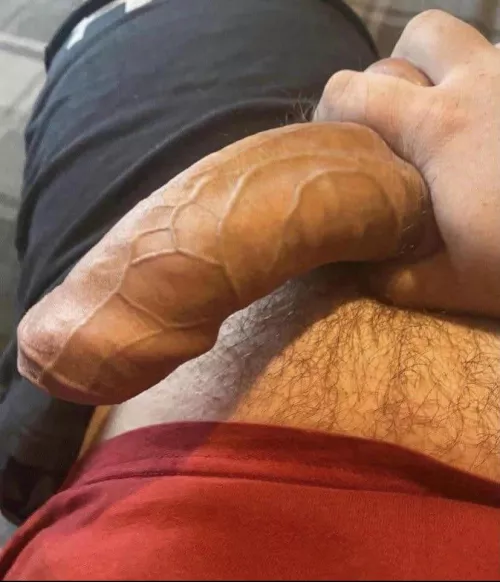 Having some fun