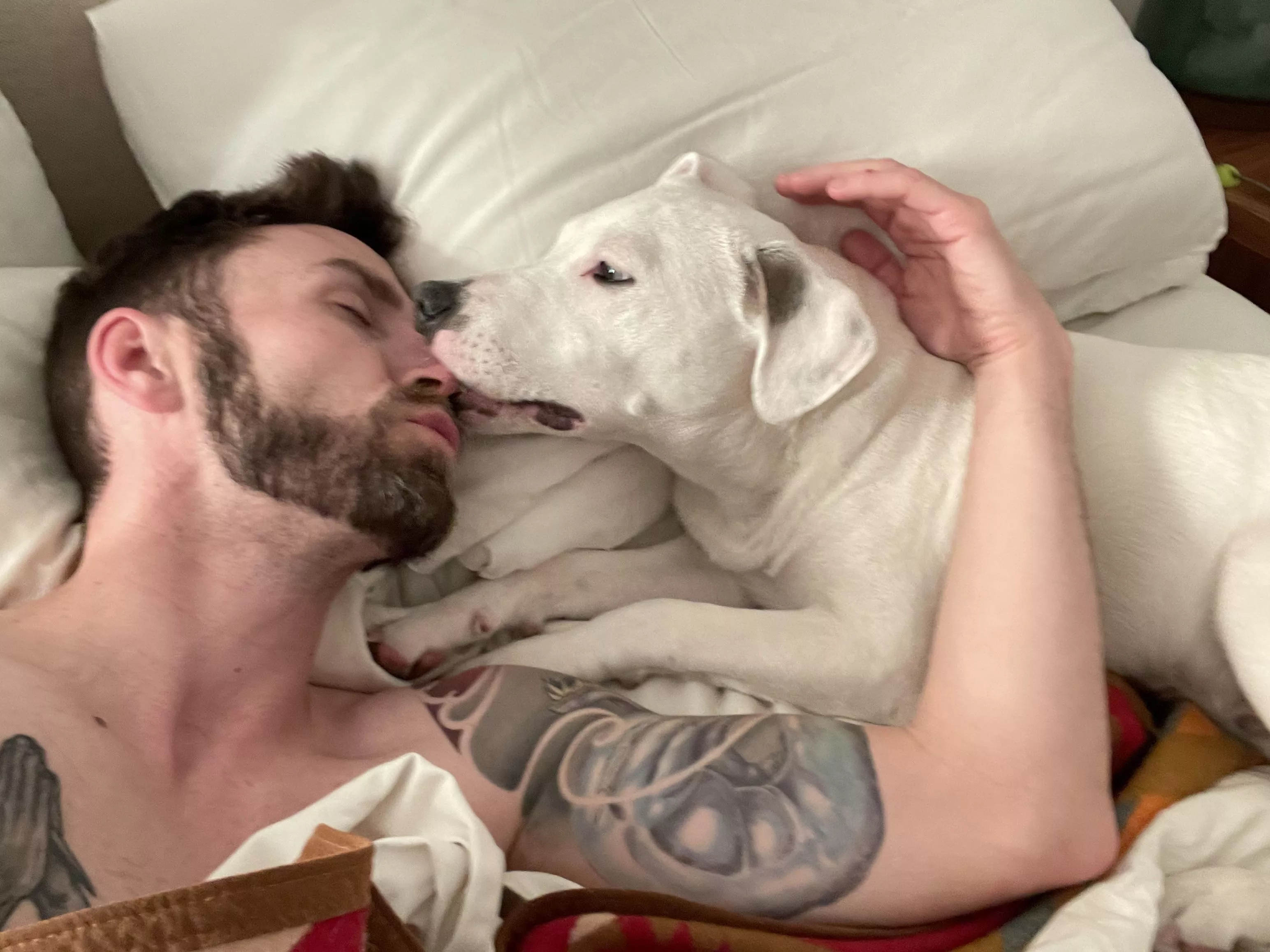 He sits diligently by me when I stay up late to game, then wakes me up every morning He sits diligently by me when I stay up late to game, then wakes me up every morning