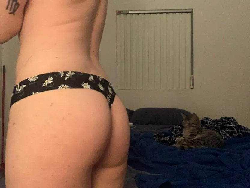 Heard y’all like cats