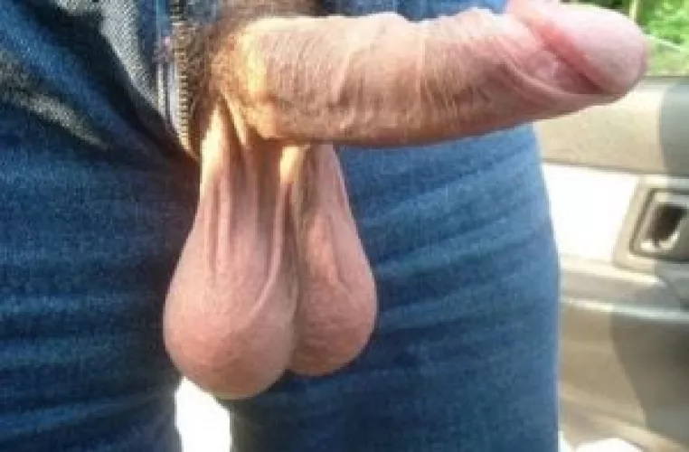 Heavy and full bull balls