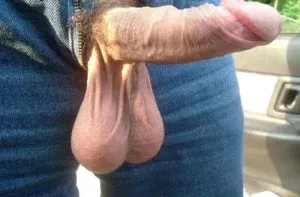 Heavy and full bull balls