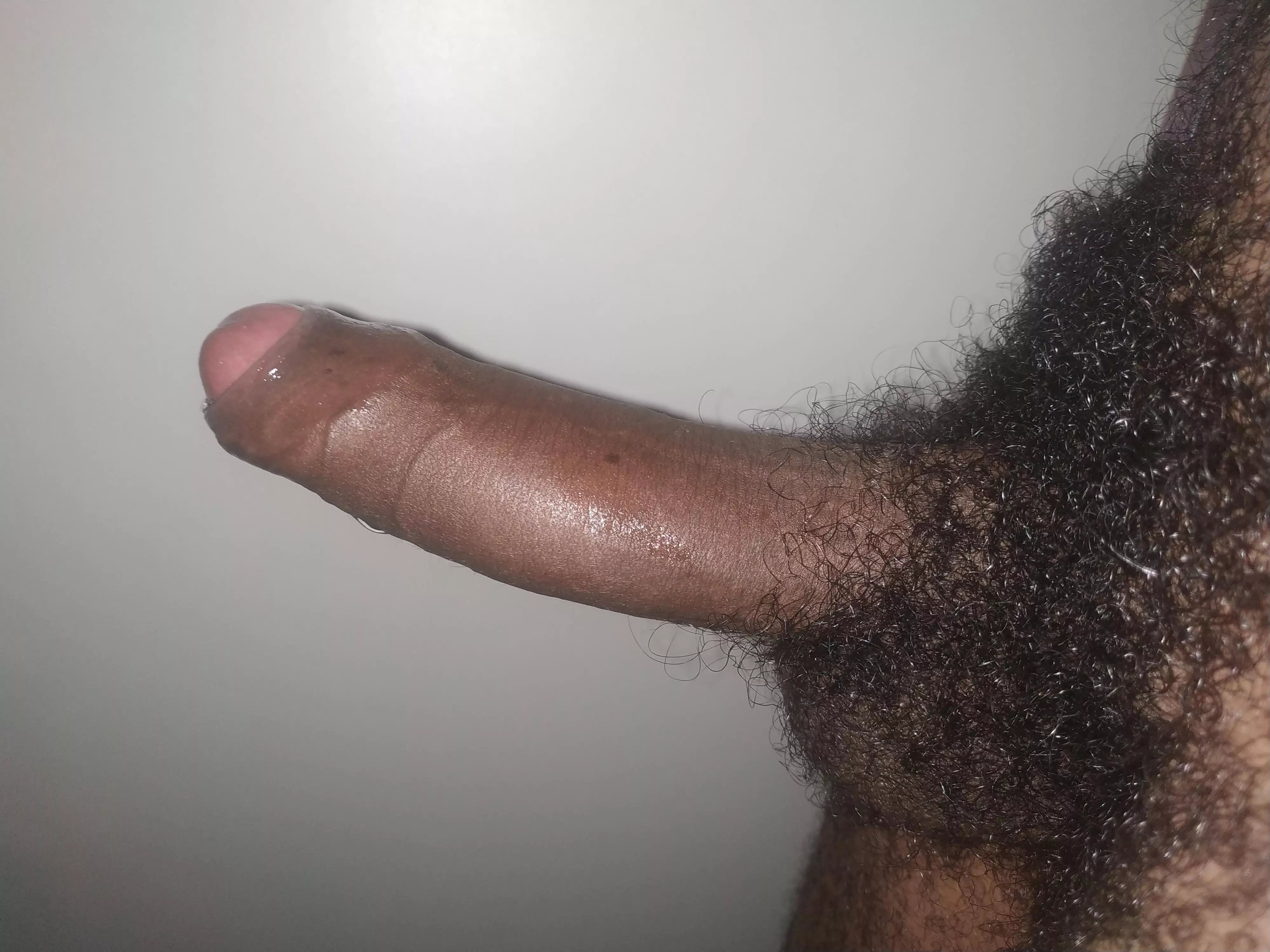 Heavy pubes and black uncut dick