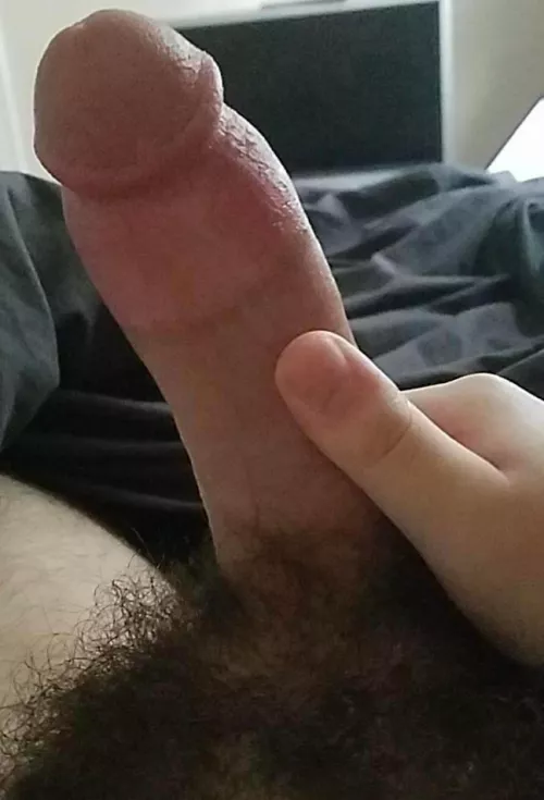 Hella Morning Wood. Let’s Stroke Together. 26 Straight Curious.