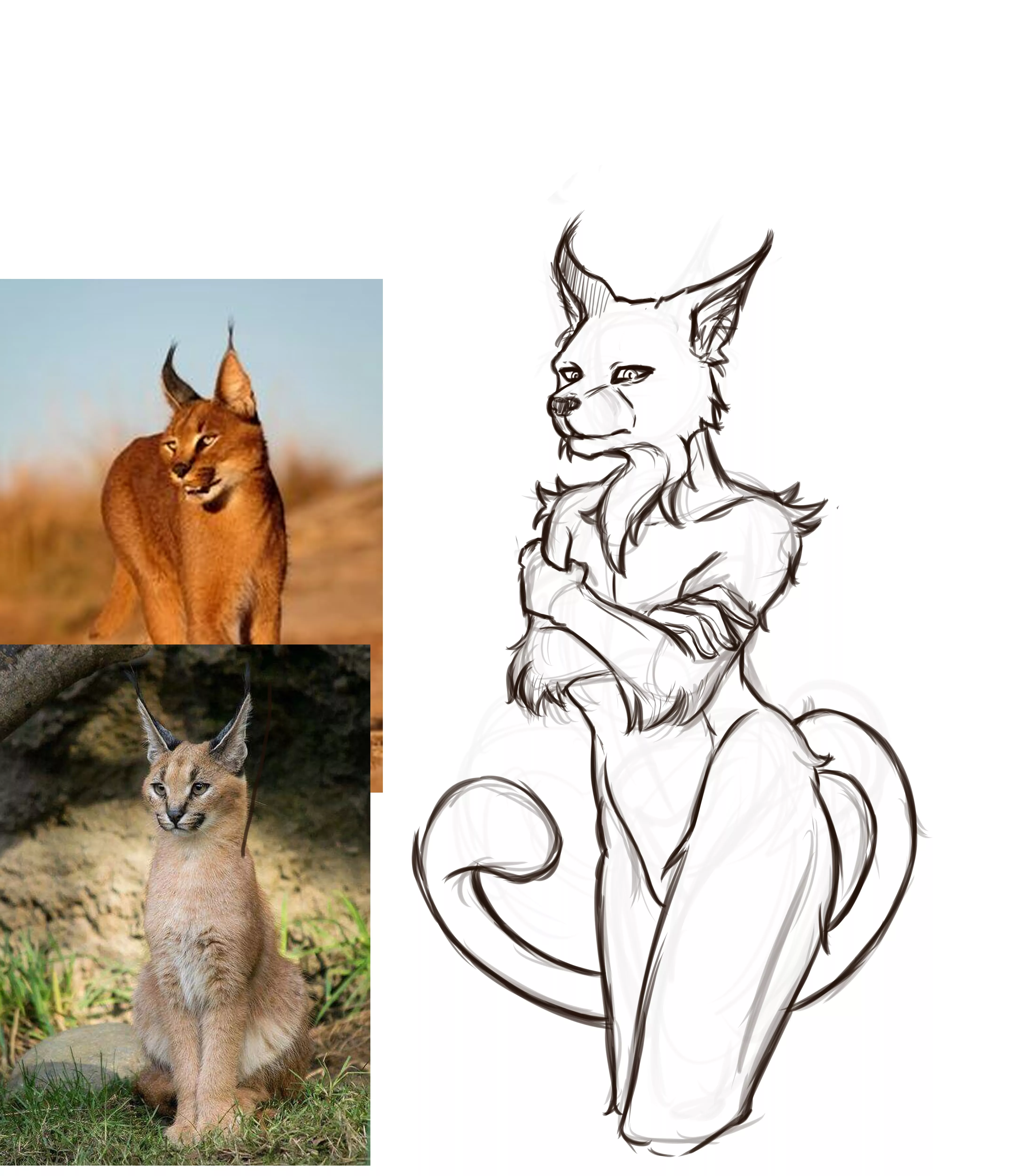 Hello! Can you tell me what you think about this sketch? How can I do better please?