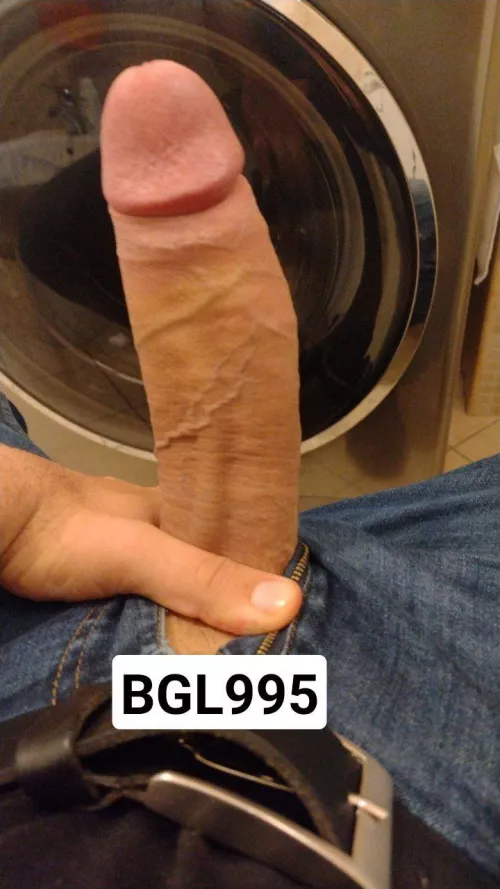 Hello guys, i'm looking for a girl/ someone bigger for comparison in webcam maybe!