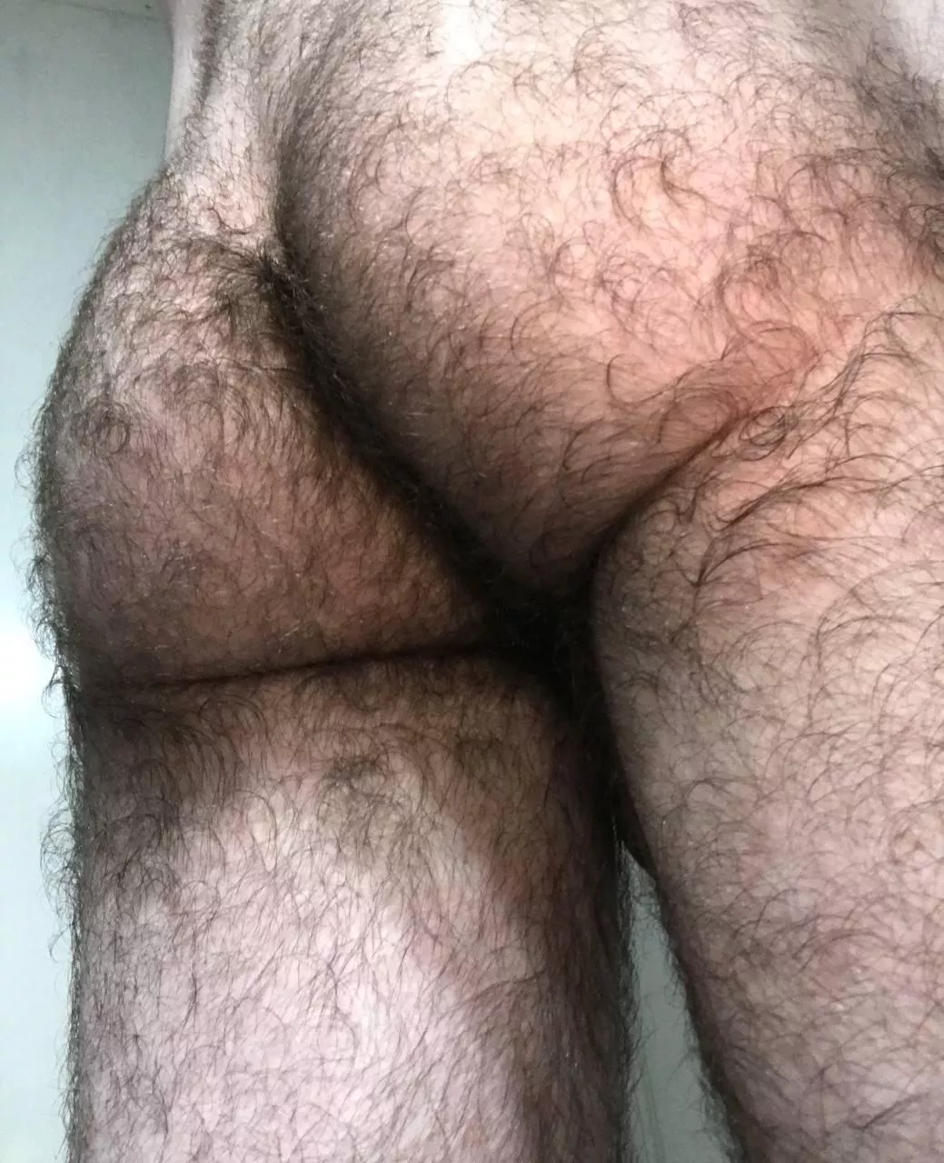 Hello! What do you think guys?