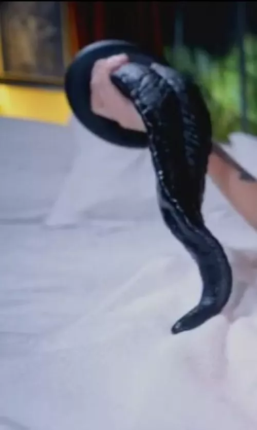 Help finding tongue/tentacle dildo