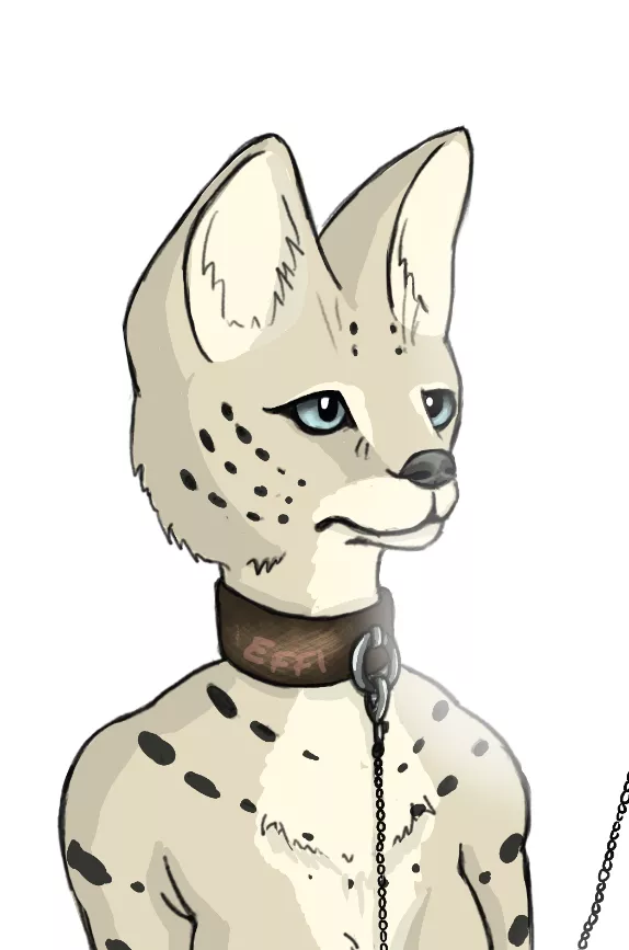 Here is Sava! She is a serval cat (art by me/Effi)