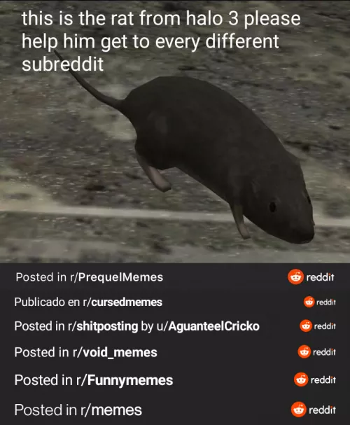 Here's a good place for him next