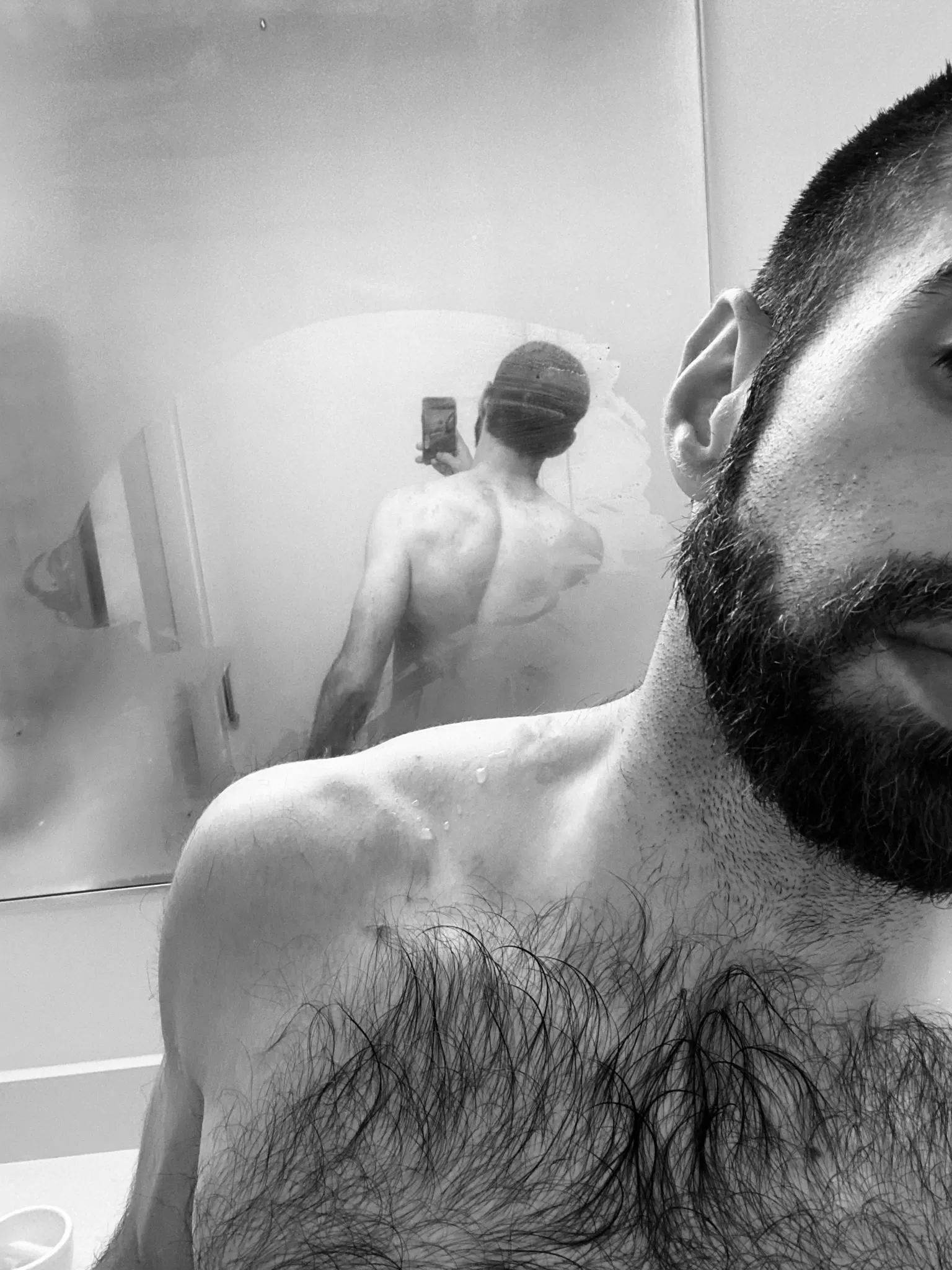 Here’s my chest hair. The top half, anyway.