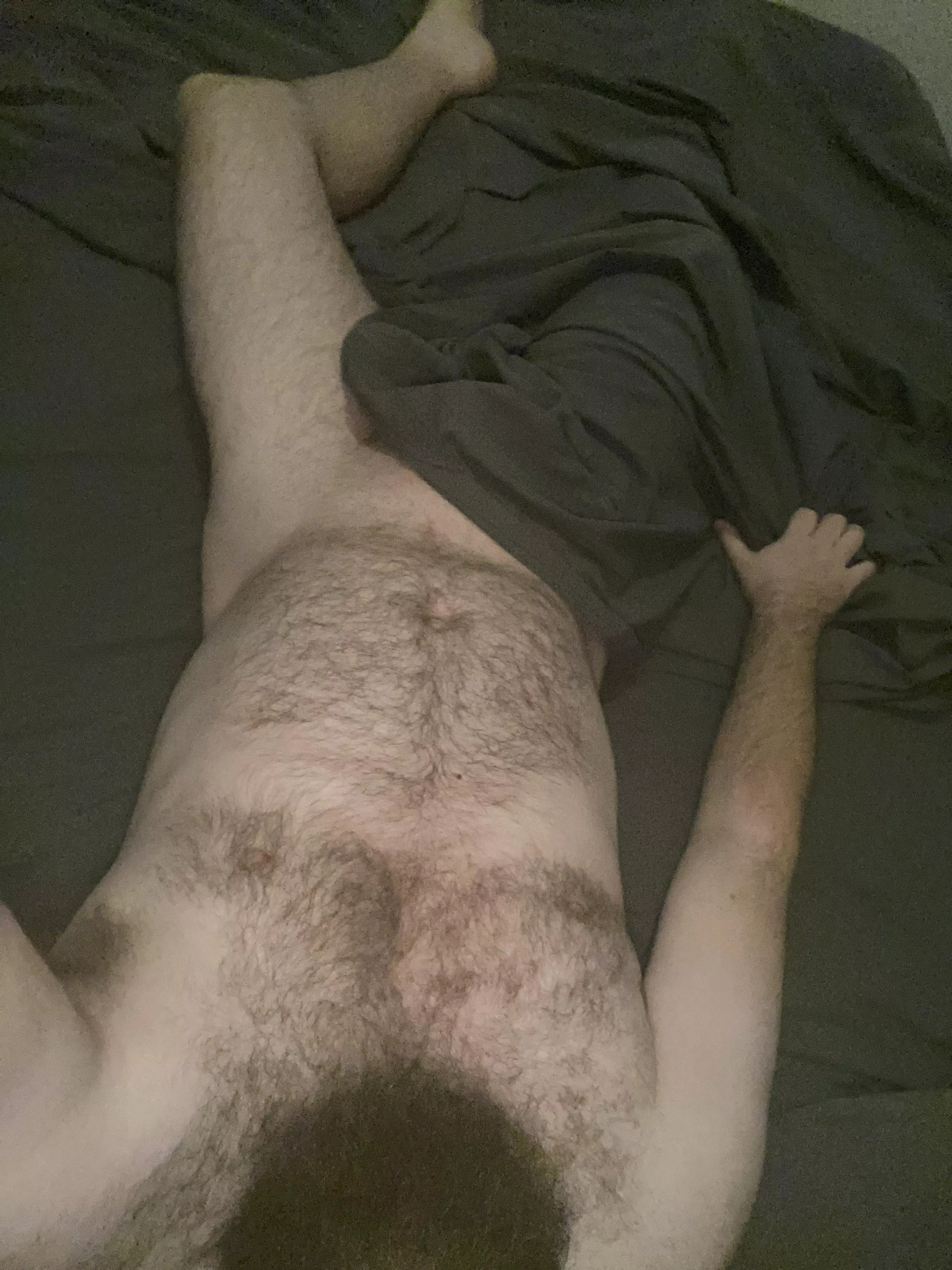 Here’s the beard, hiding the boner though Here’s the beard, hiding the boner though