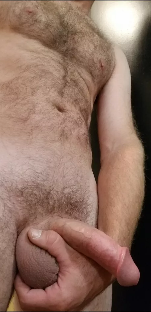 Hey first time here [38]