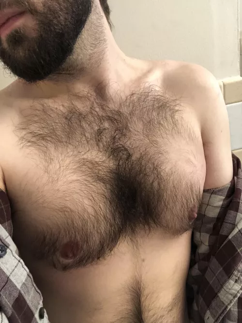 Hey, I just wanted to introduce myself and say hello. I recently accepted my bisexuality and my interest in other bears, and it looked like this might be a good place to explore the scene (esp. daddy bear tops!)