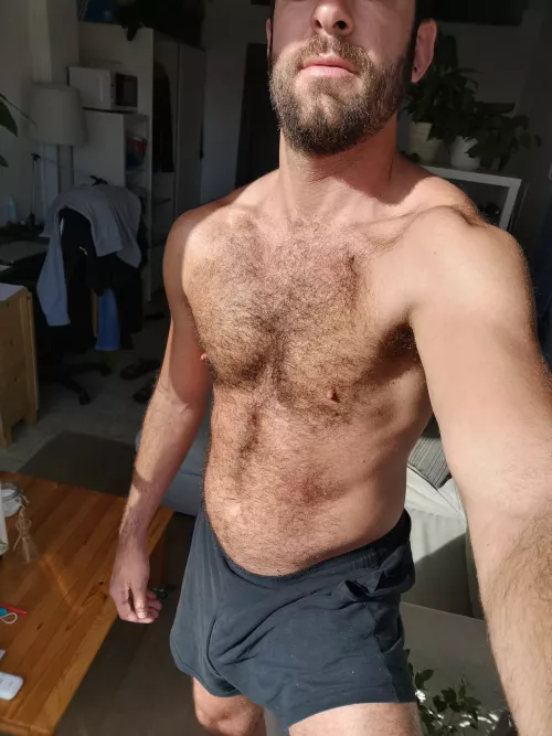 hey missed me ?