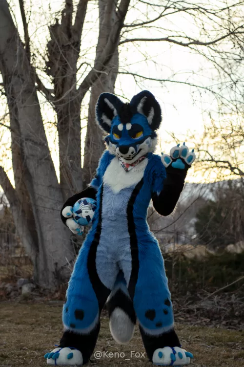 Hey you, lets play ball!