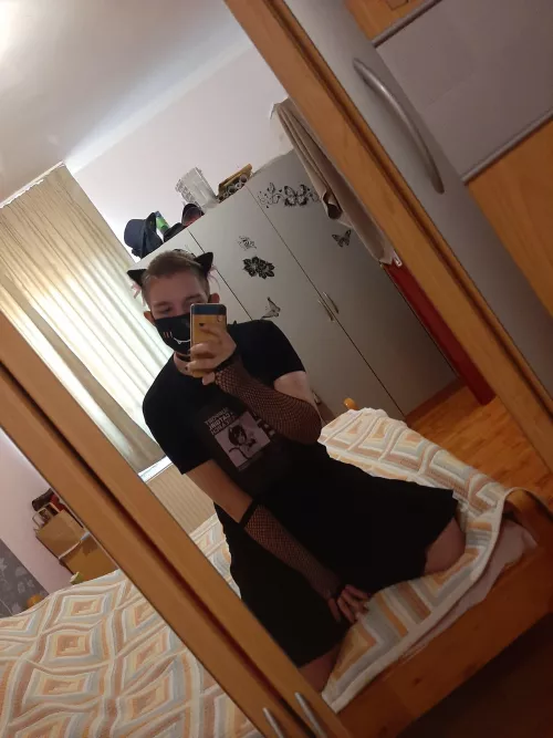 Heyoo, this is my first post here, please be nice ฅ^•ﻌ•^ฅ