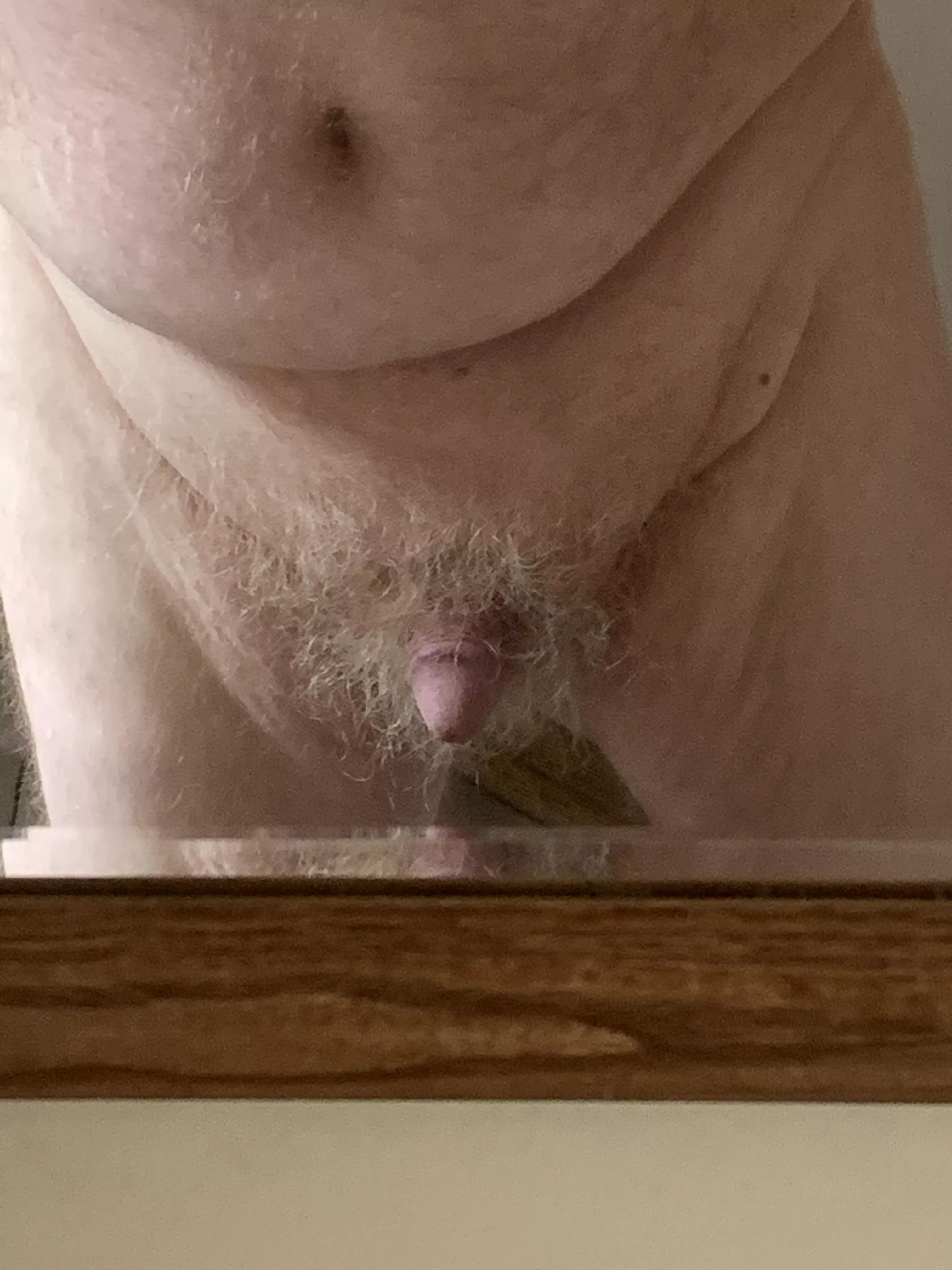 Hi (55)