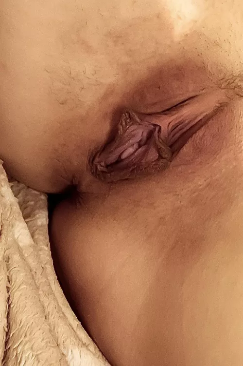 Hi