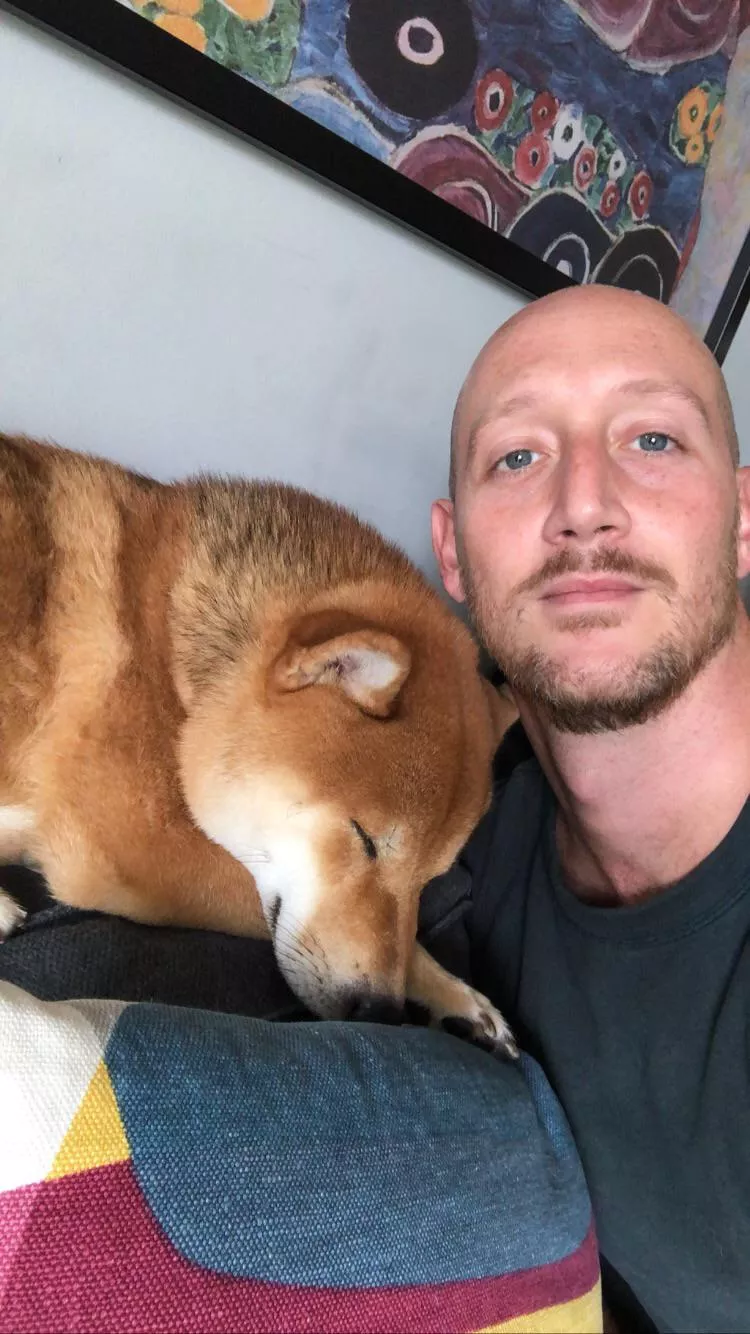 Hi guys! Lazy day in Milano! 💤 🐕 🙃 @tokyo.theshiba IG