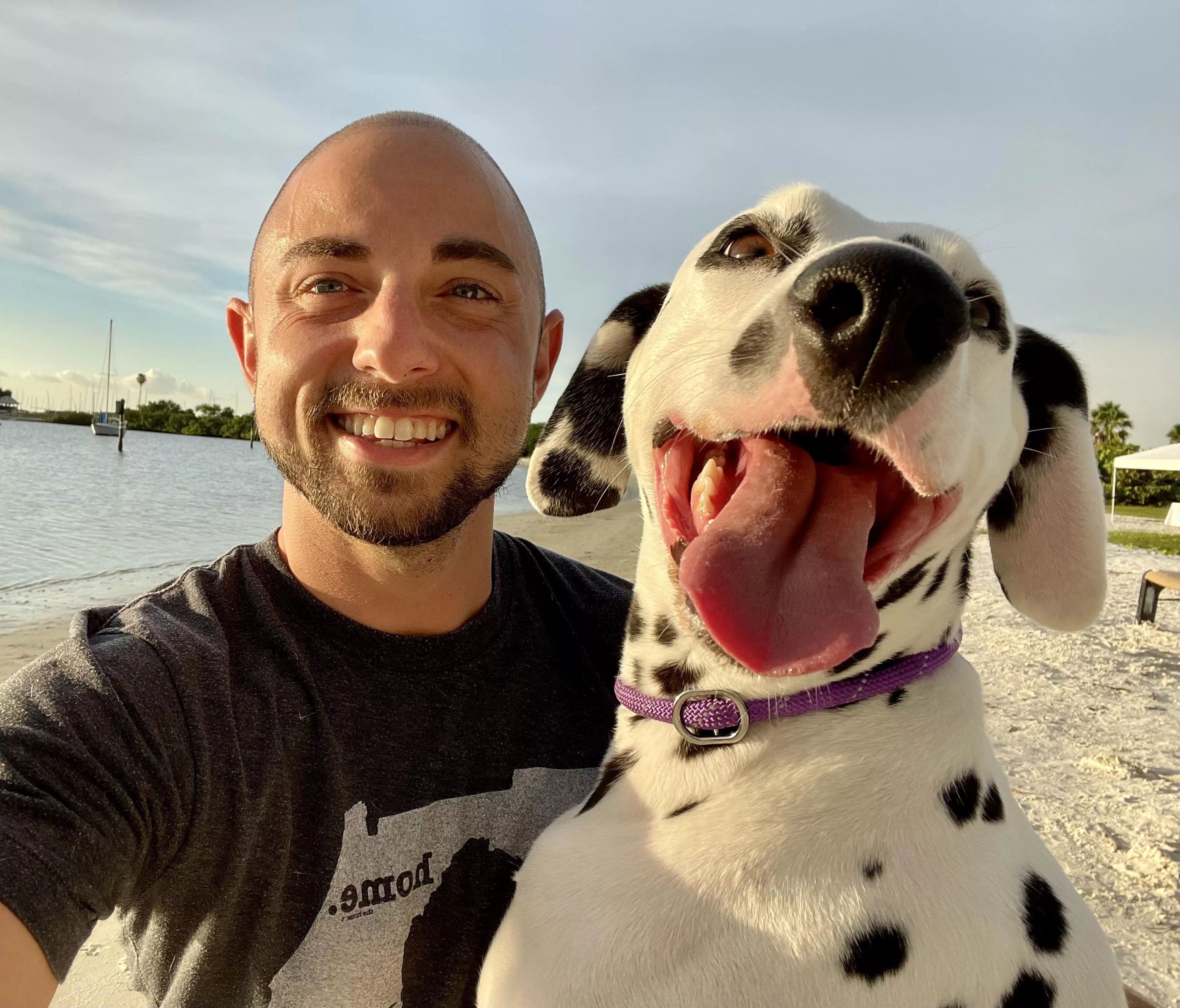 Hi guys! Where are my dog lovers??