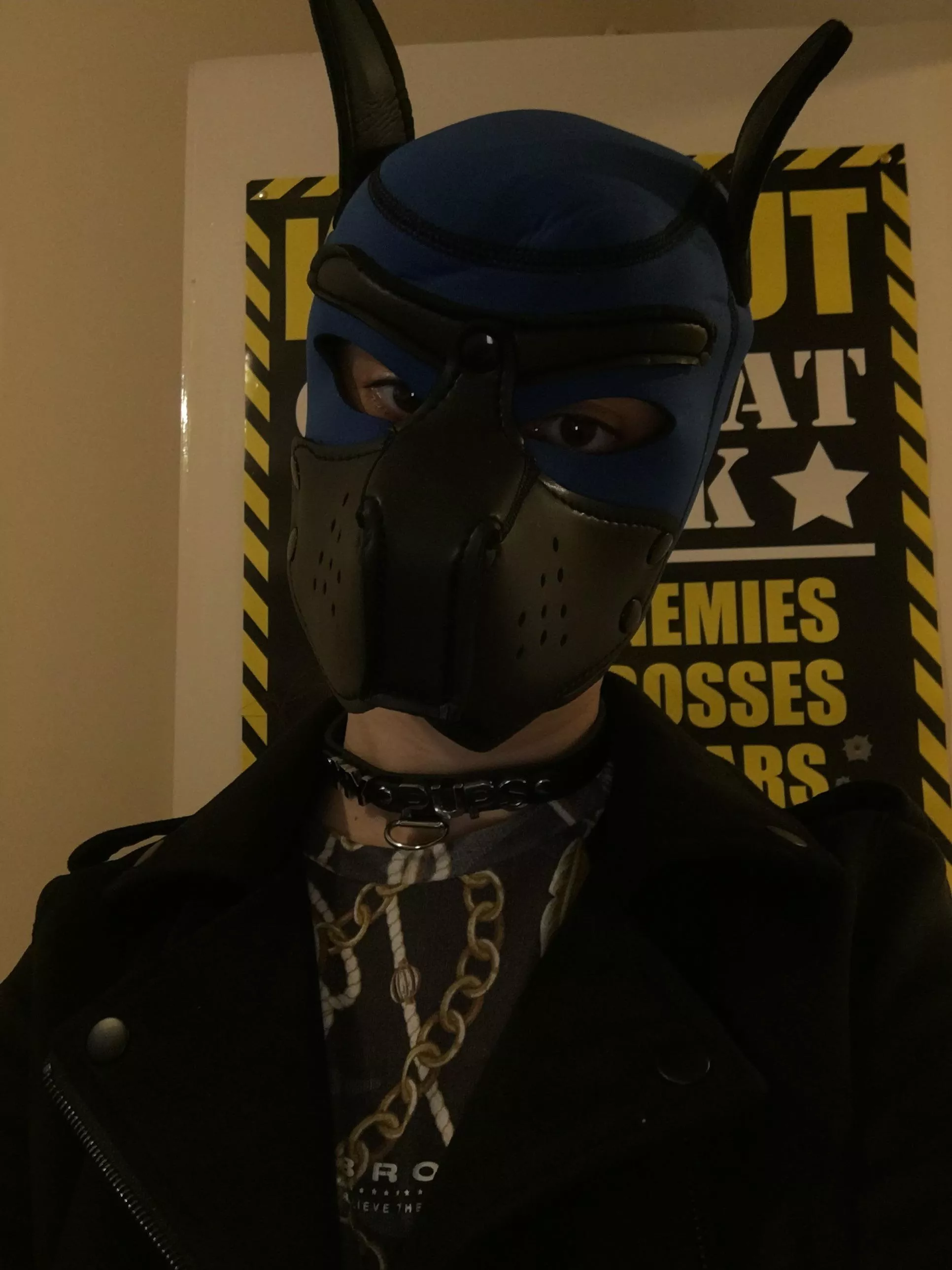 Hi I’m Luna wolf pup got my first hood cause I’m a good girl who needs belly rubs