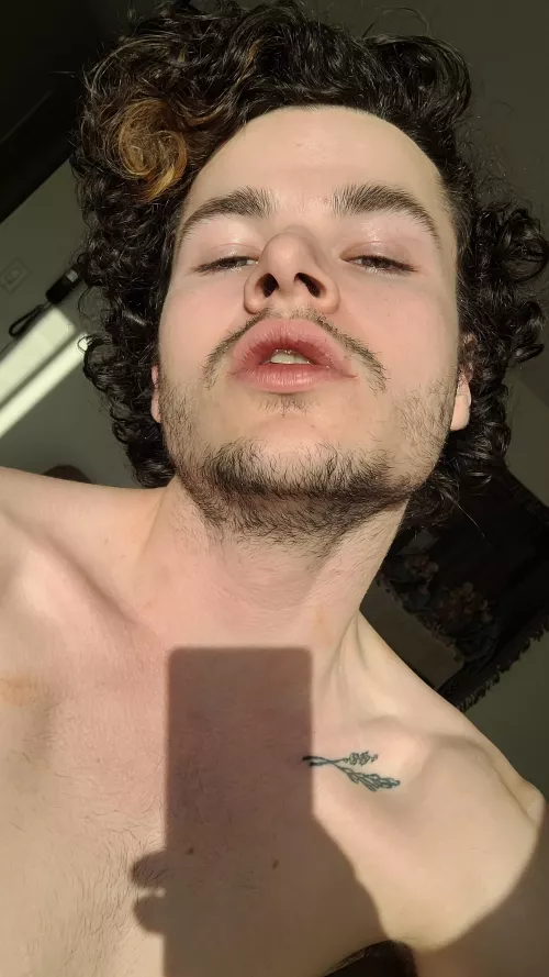 hi! im pan!