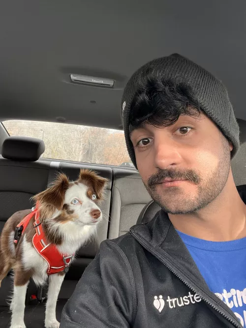 Hiking time with the pup!!! πΊπΊπΊ