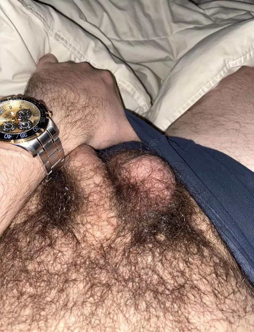 Hmu if your’e into hairy bears. Kik rrzz1233